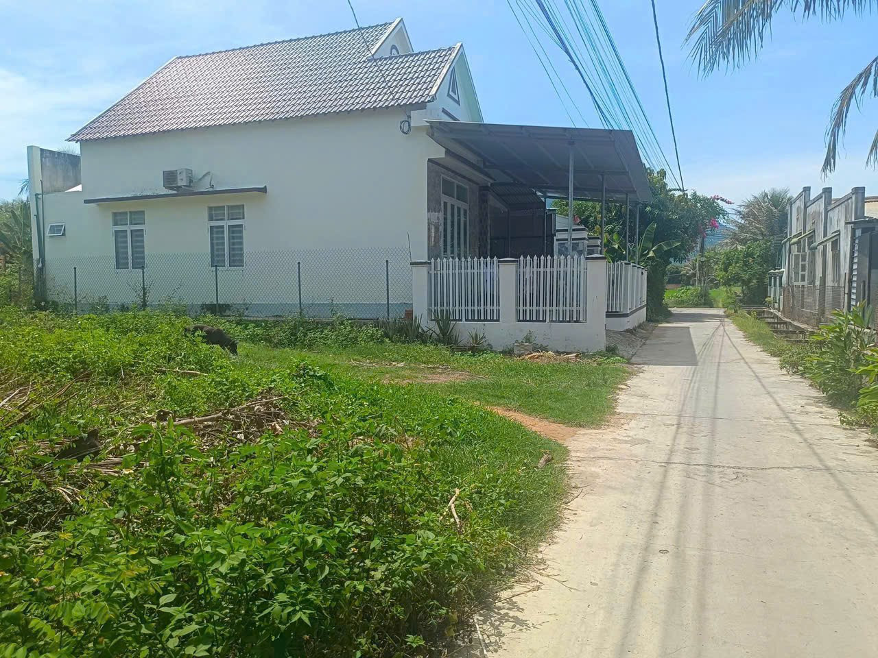 0763615365 Bán đất 379m² 1.6 tỷ tại Xã Ninh Phú Thị xã Ninh Hòa