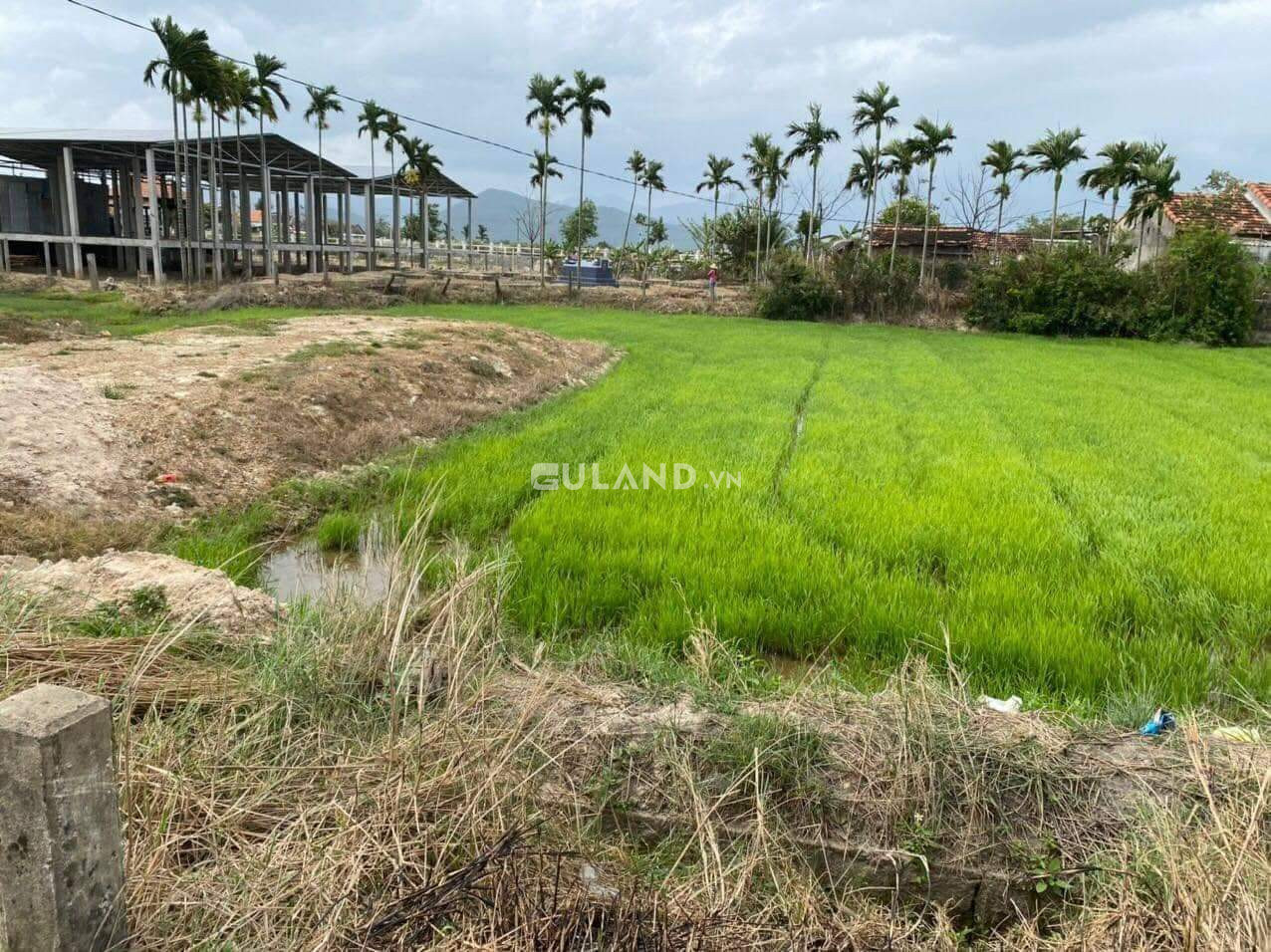 Bán  đất thổ cư 200m² , giá 1.250 tỷ tại, Xã Ninh Phú, Thị xã Ninh Hòa, Khánh Hòa