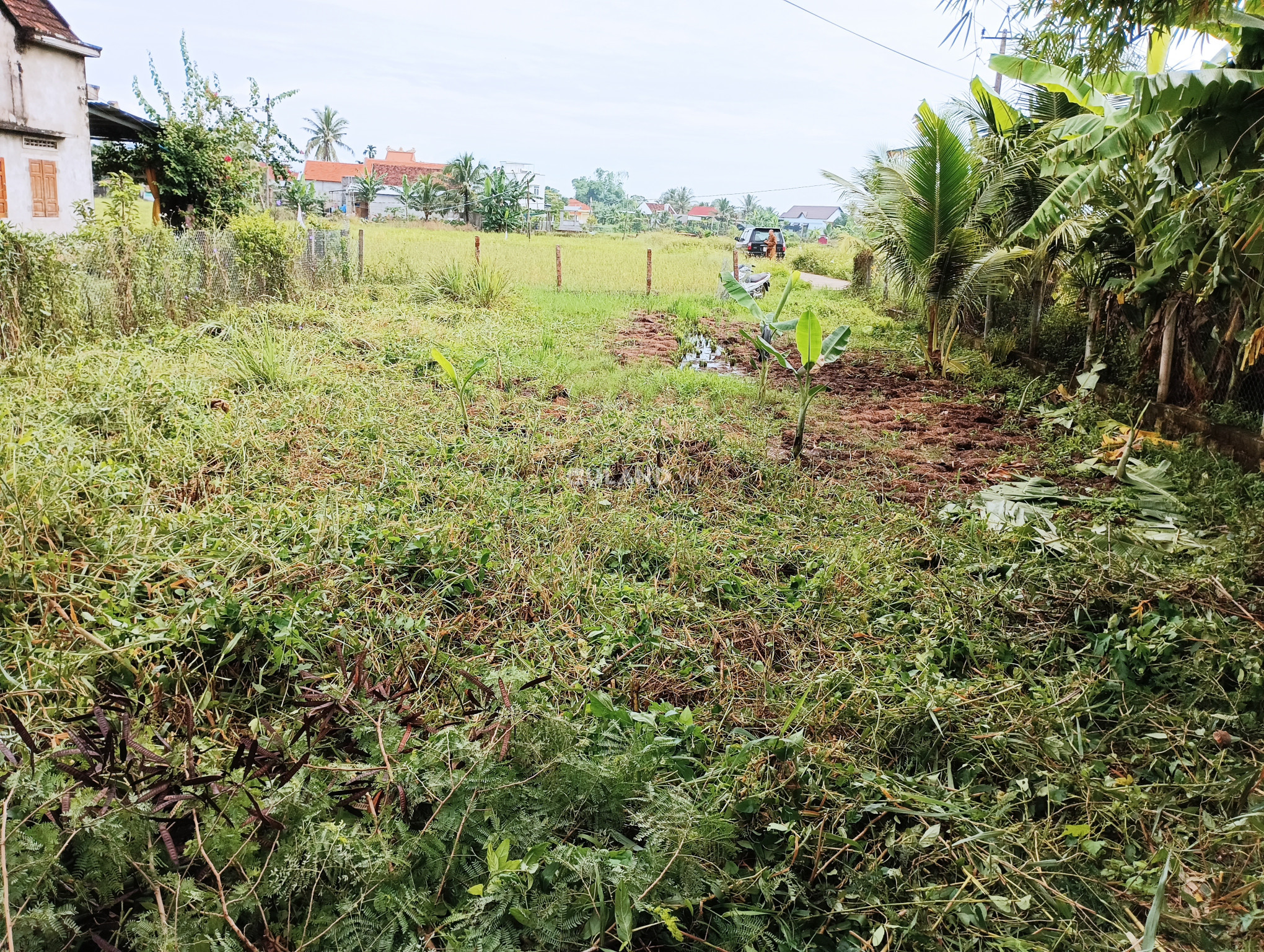 Bán nhanh lô đất thôn Hội Phú Nam