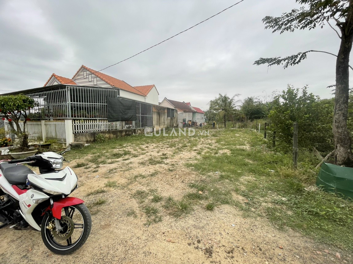 Đại Cát 2 Ninh Phụng 200m2 full thổ cư