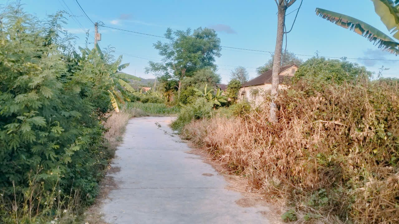 LH: 0938156791- Hiếu 
Bán đất 542m² full ont . Giá 1.5 tỷ tại Xã Ninh Phụng Thị xã Ninh Hòa