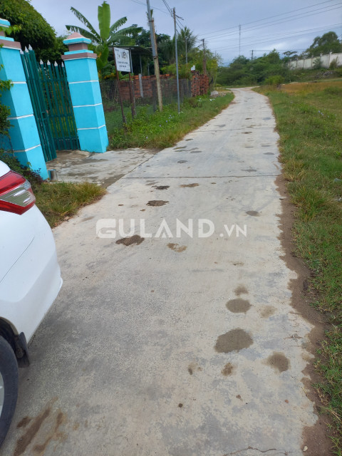 Giảm giá sốc chỉ còn 1ty1, cần bán nhanh lô đất 2 mặt tiền Đại Cát 2, Ninh Phụng, 11mx24m ( 233,1m2 gần full thổ) thực tế dài 30m