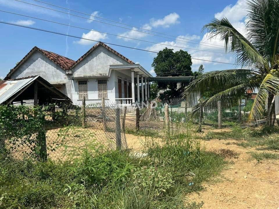 TÂN QUANG, NINH QUANG ĐẤT GIÁ RẺ