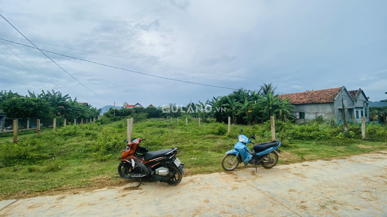 Tân Quang, Ninh Quang giá đầu tư