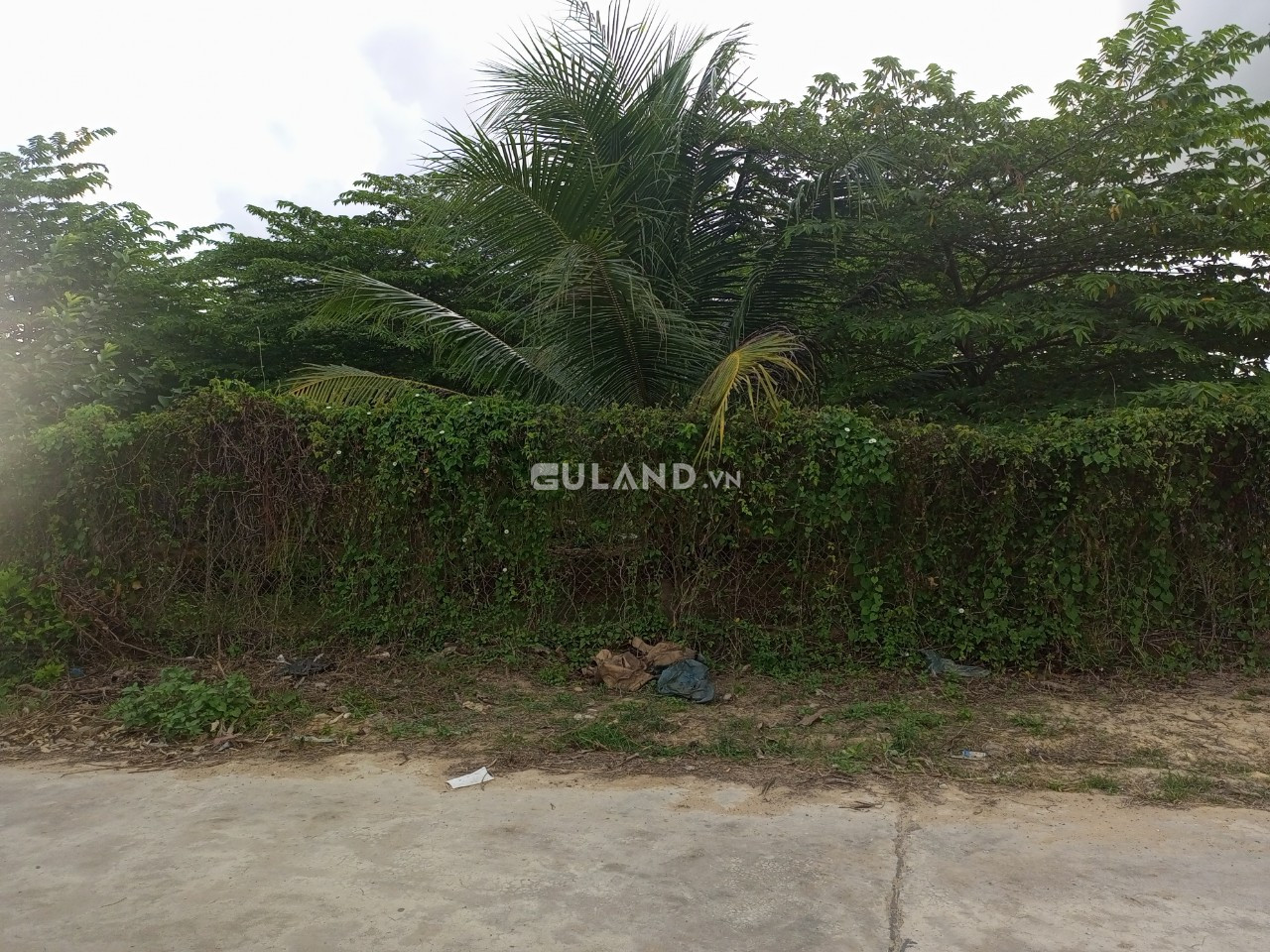 Ninh Quang, 12x25, cách trục liên thôn 50m,giá ngộp ra gấp