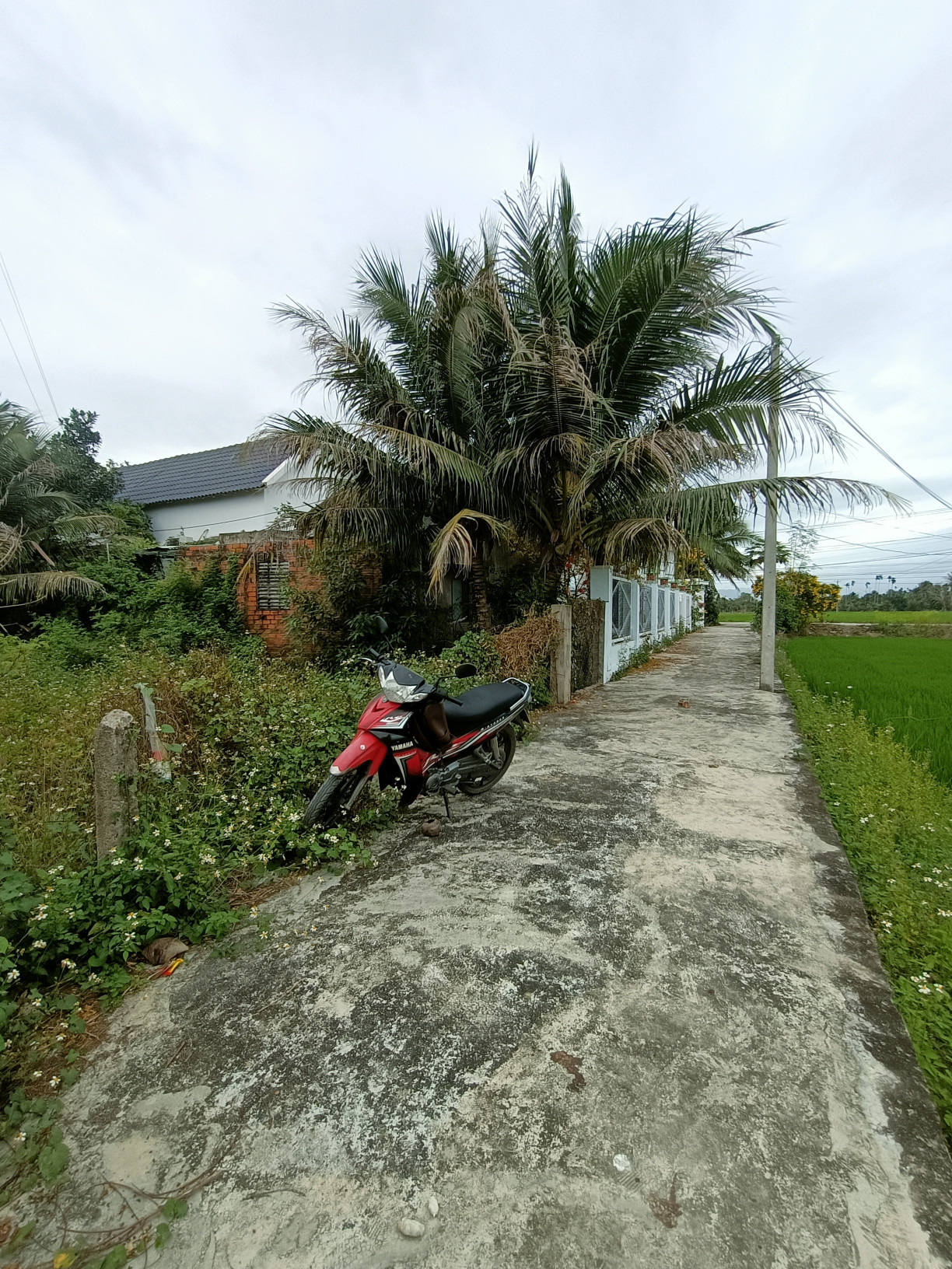 Bán đất 523m² tại Xã Ninh Quang Thị xã Ninh Hòa