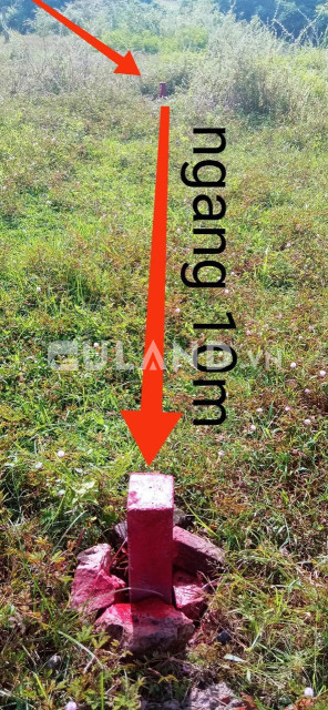 Ninh Sim, 10x22, 120 thổ giá rẻ