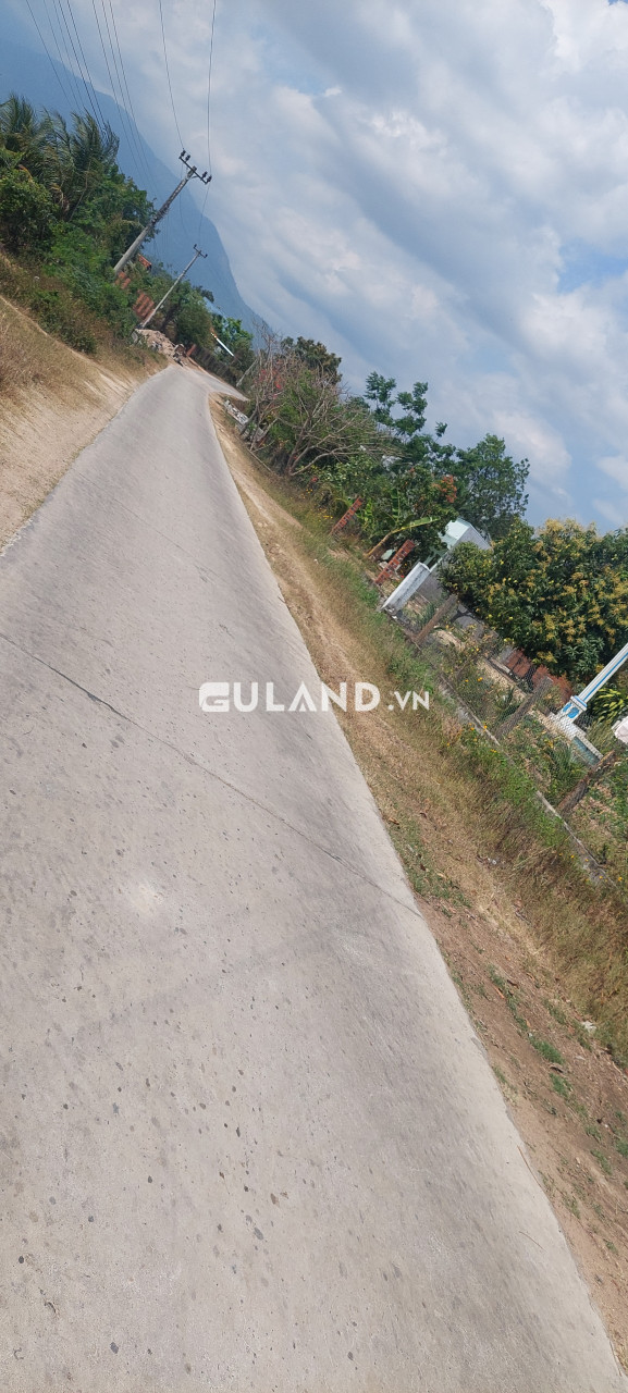 Chủ cắt bán lô 6x49, 60 thổ, qh đường 16m, Nông Trường, Ninh Sim giá rẻ đầu tư lời ngay ạ