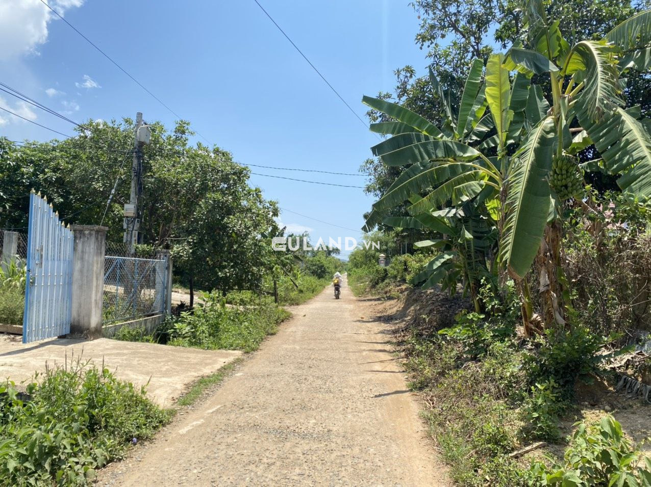 Lô giá chỉ 1ty350