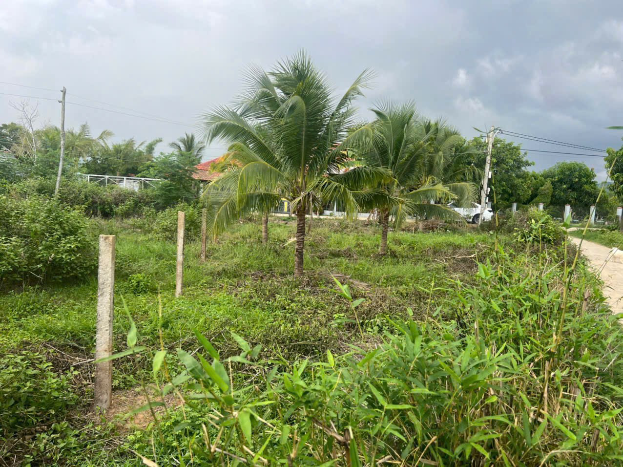 Bán đất 140m² 480 triệu tại Xã Ninh Sơn Thị xã Ninh Hòa