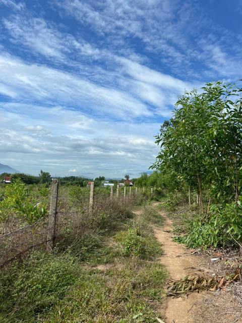 0763615365 Bán đất 29000m² 4.35 tỷ tại Xã Ninh Sơn Thị xã Ninh Hòa