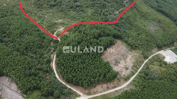 Bán  đất nông nghiệp 80000m² , giá 15.2 tỷ tại, Xã Ninh Tân, Thị xã Ninh Hòa, Khánh Hòa