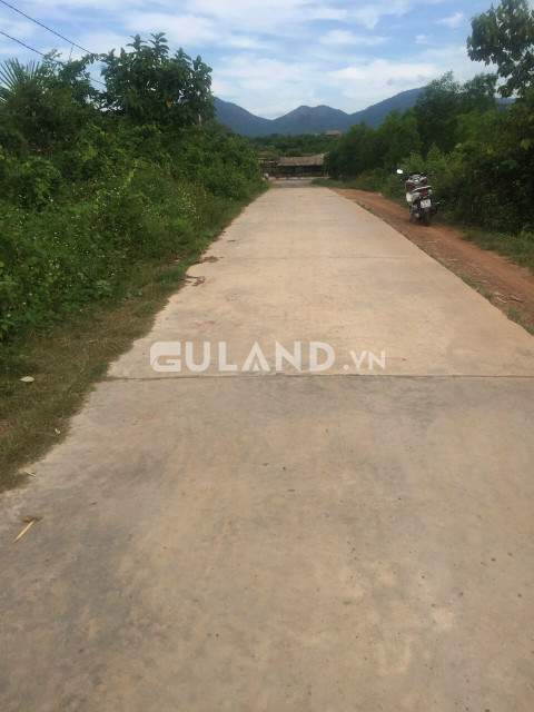 Bán  đất thổ cư 15000m² , giá 6.5 tỷ tại, Xã Ninh Tân, Thị xã Ninh Hòa, Khánh Hòa