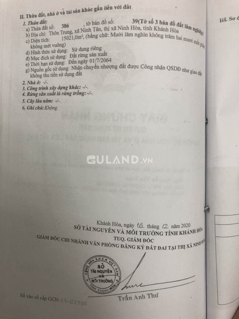 1.3 tỷ dc gần 5 hec triền sơ có núi rừng quy cln thắng