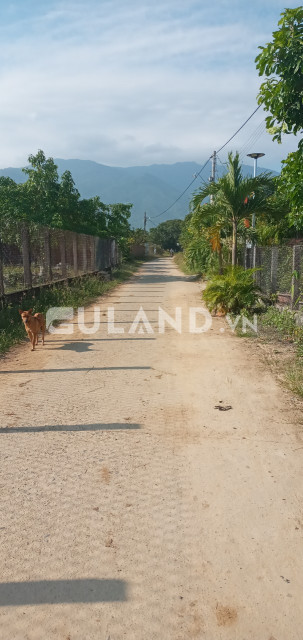 0938.113.403 Thôn Nam, Ninh Tân, 15x65, 100 thổ, cách DT5 200m giá ngộp