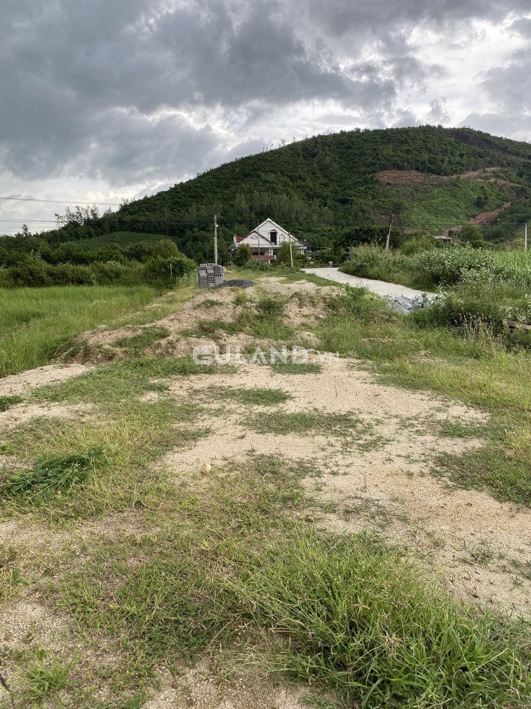 Đất nhà nước phân lô gần chợ Ninh tân 05
