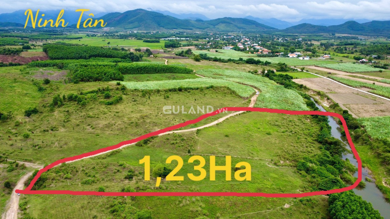 1.23 hec quy thổ giá 3 tỷ v1