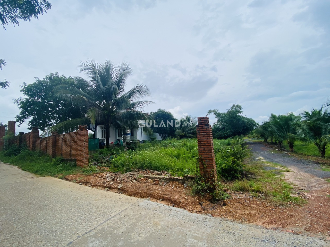 Thôn Nam, Ninh Tân, 8x39, 60 thổ, bê tông 4m giá ngộp