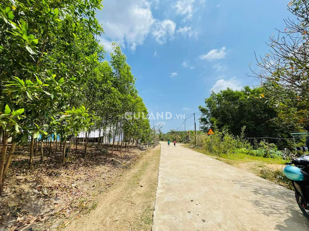 35x43, 500 thổ cư, Ninh Tân, giá đầu tư lời ngay ạ