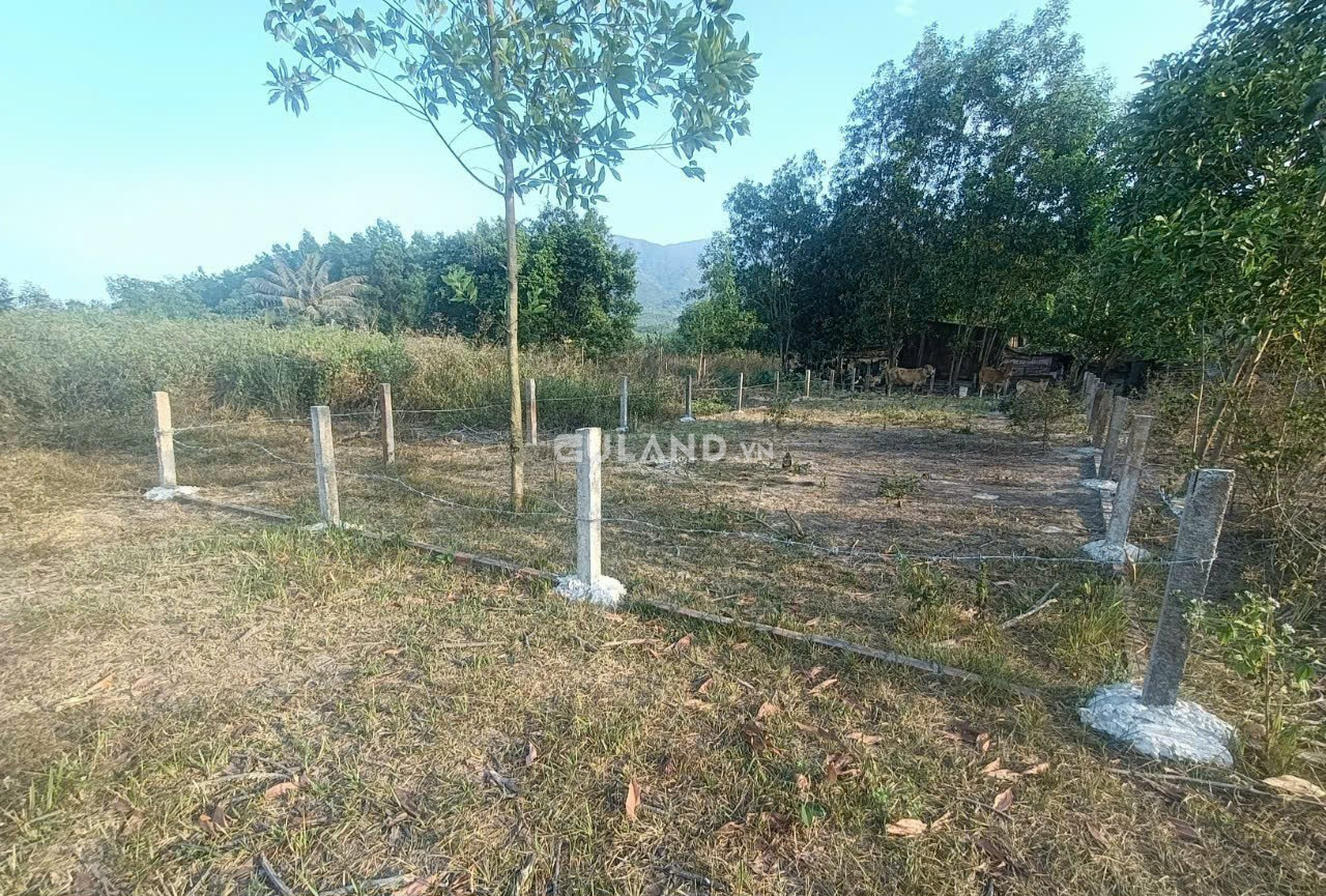 Chủ kẹt tiền hạ giá bán nhanh lô Thôn Bắc, Ninh Tân, 8x26, 76tho cư
