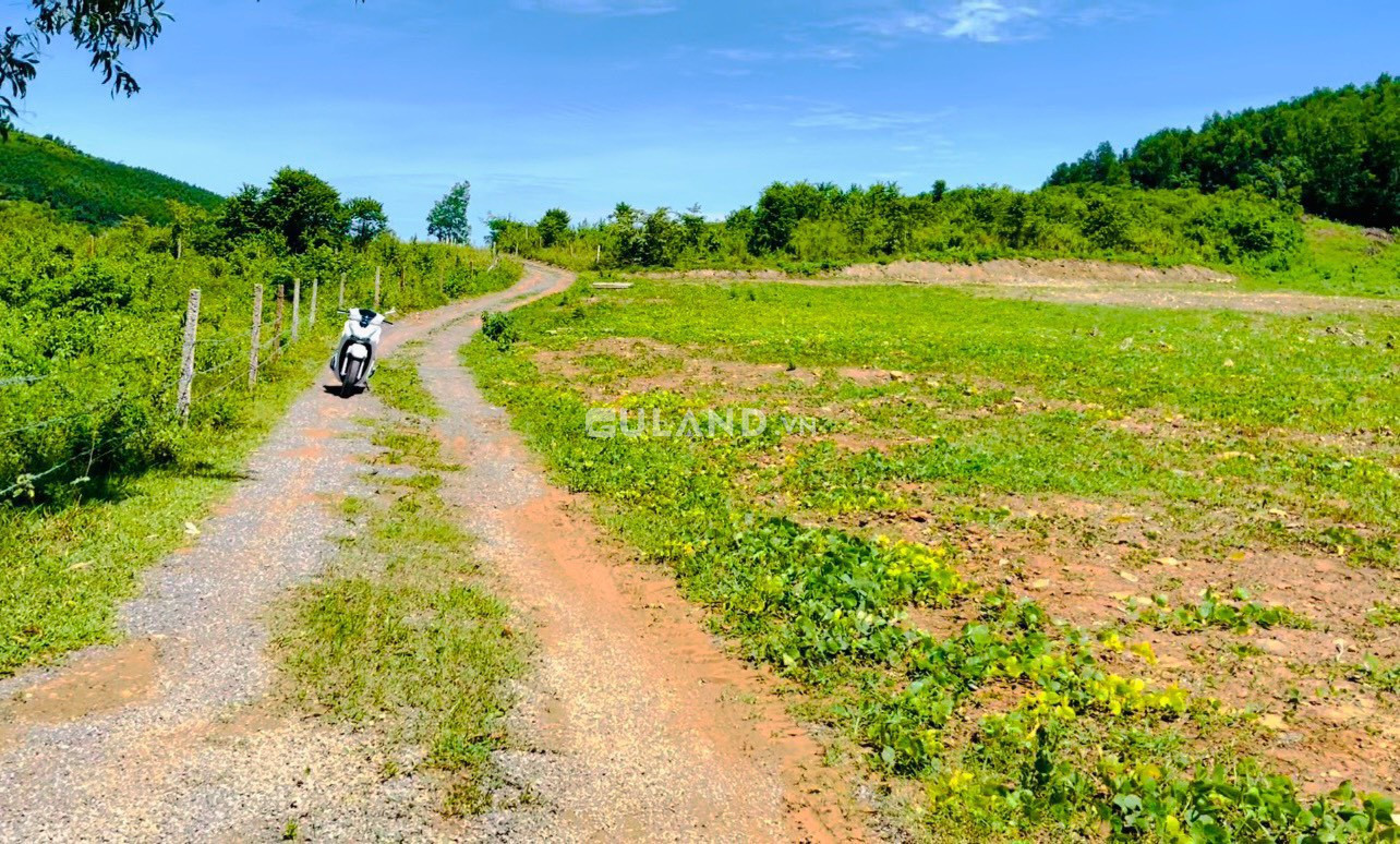 Ngộp 2532m2 HNK qh CLN thôn Bắc, Ninh Tân, cách DT5 200m, cách KCN Ninh Xuân 3km