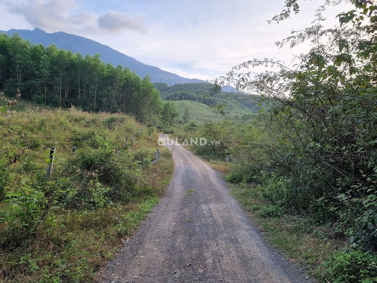 Chủ cần bán 3ha RSX qh HNK cách UBND xã Ninh Tân 1.5km