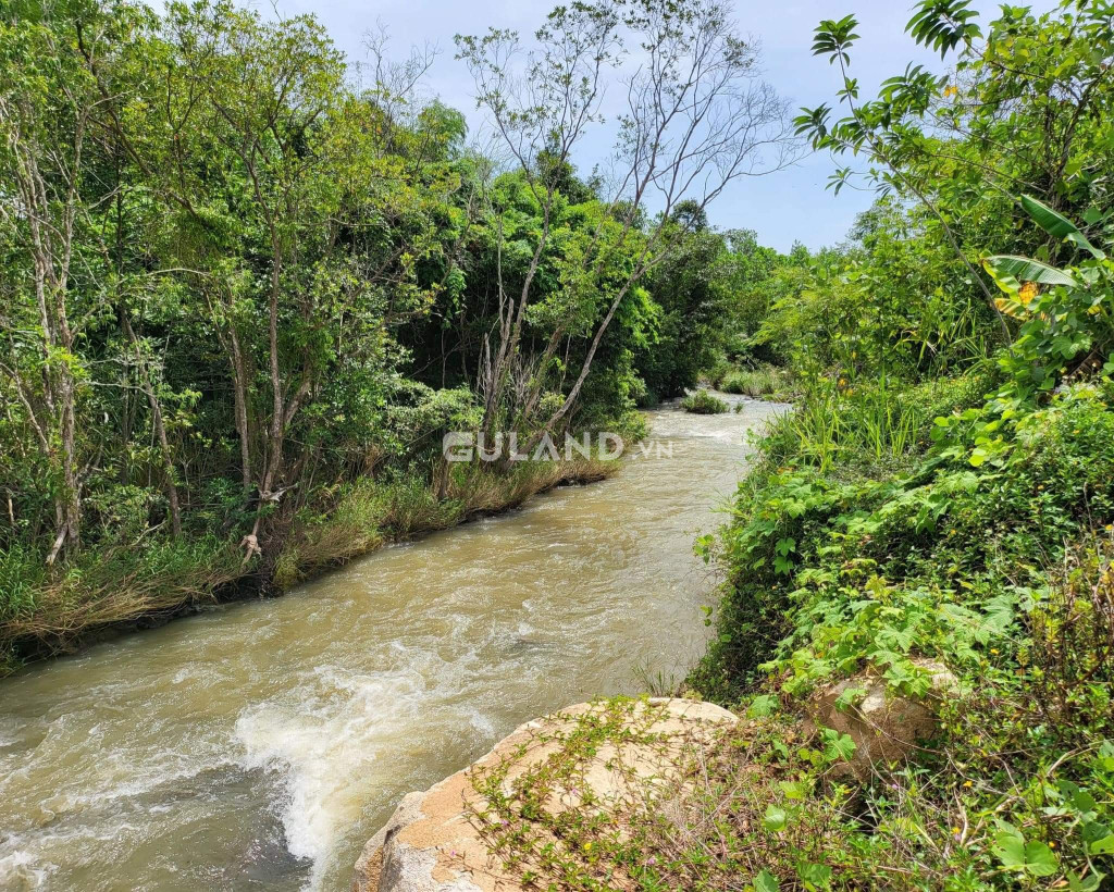 Bán  đất thổ cư 200000m² , giá 80 tỷ tại, Xã Ninh Tây, Thị xã Ninh Hòa, Khánh Hòa