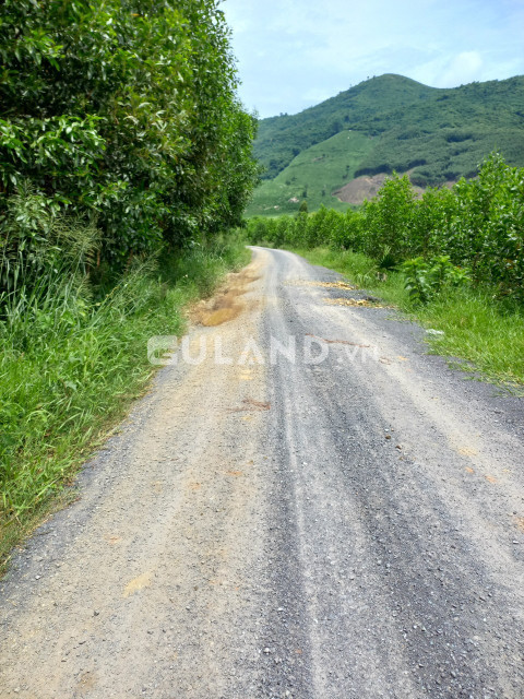 Bán  đất thổ cư 40000m² , giá 1.6 tỷ tại, Xã Ninh Tây, Thị xã Ninh Hòa, Khánh Hòa