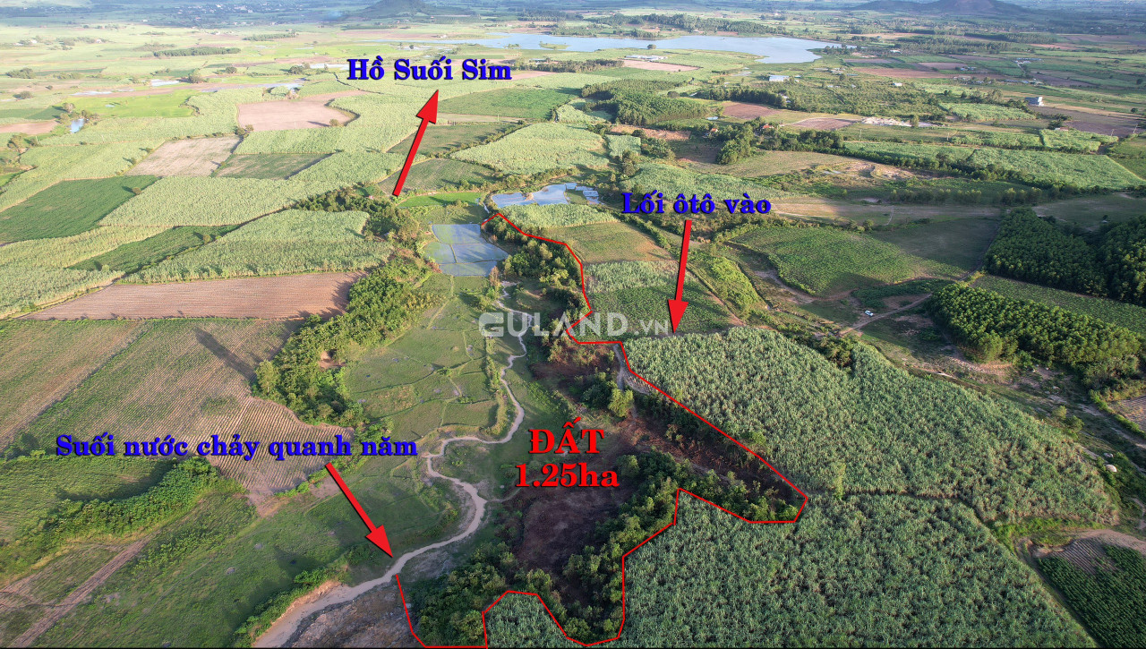 Vpnt 2 1.2 hecta ninh tây đất phẳng giá 900