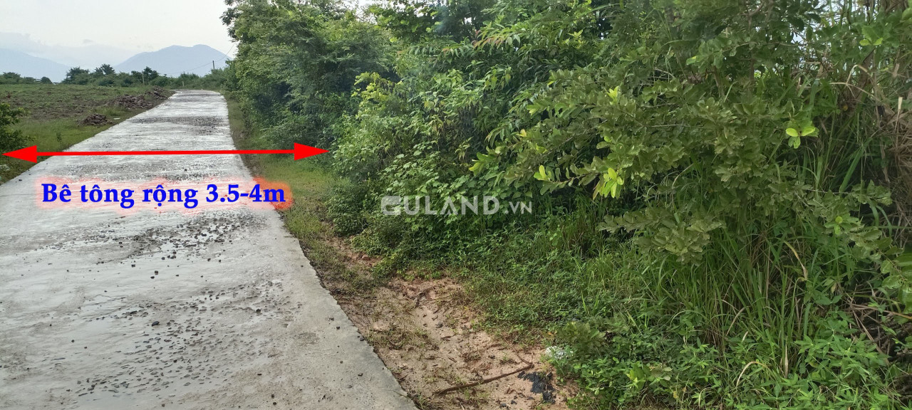 32x20, 60 thổ, giá đầu tư, Buôn Lác Ninh Tây