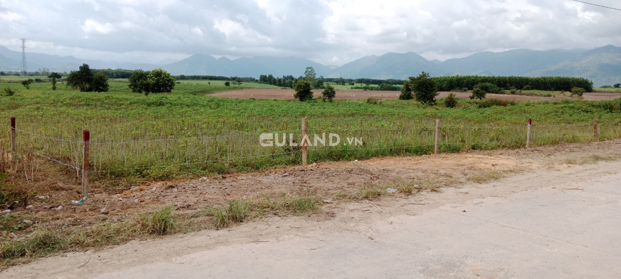 0053  1771 m2 ngang 48 dài 83 nở hậu 2.9 tỷ