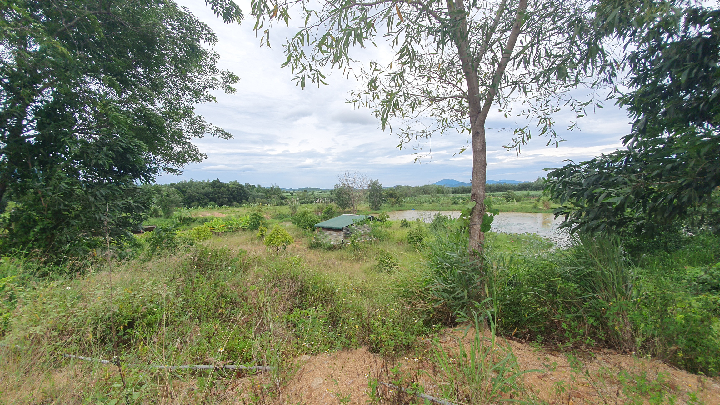 Bán  đất thổ cư 190000m² , giá 80 tỷ tại, Xã Ninh Tây, Thị xã Ninh Hòa, Khánh Hòa