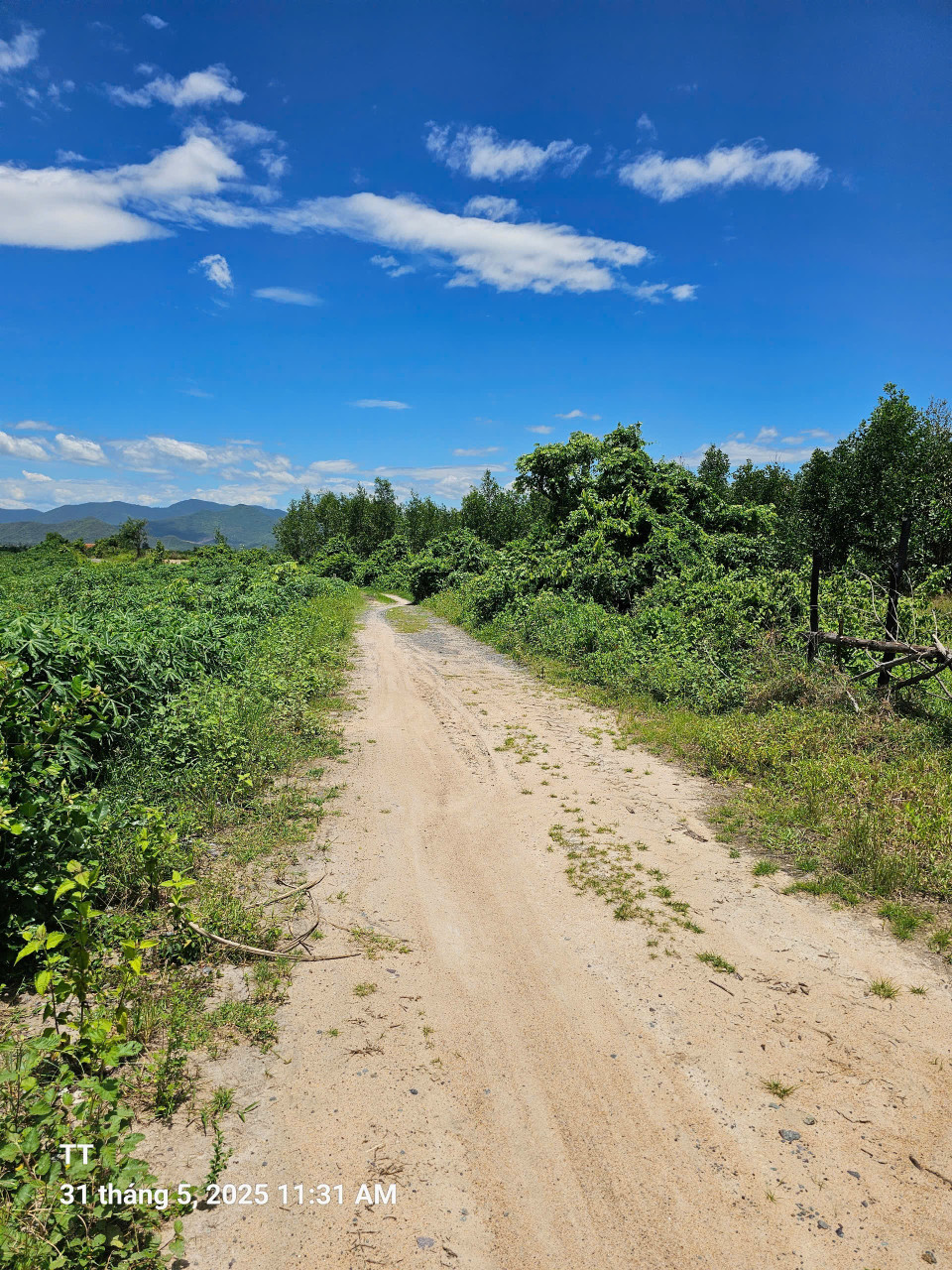 0938.113.404 Bán đất 20000m² giá 1.5 tỷ tại Xã Ninh Tây Thị xã Ninh Hòa