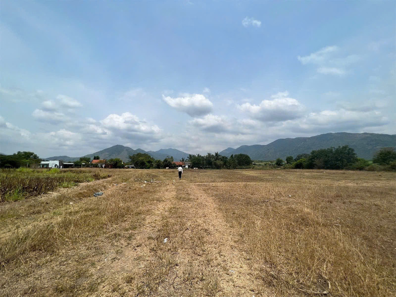 C488 0984648677 Thịnh Bán đất 15000m² giá 25 tỷ tại Xã Ninh Tây Thị xã Ninh Hòa