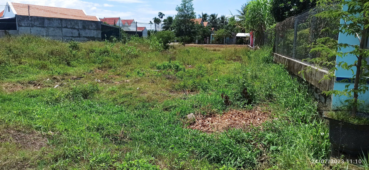 Bán đất 250m² 650 triệu tại Xã Ninh Thân Thị xã Ninh Hòa