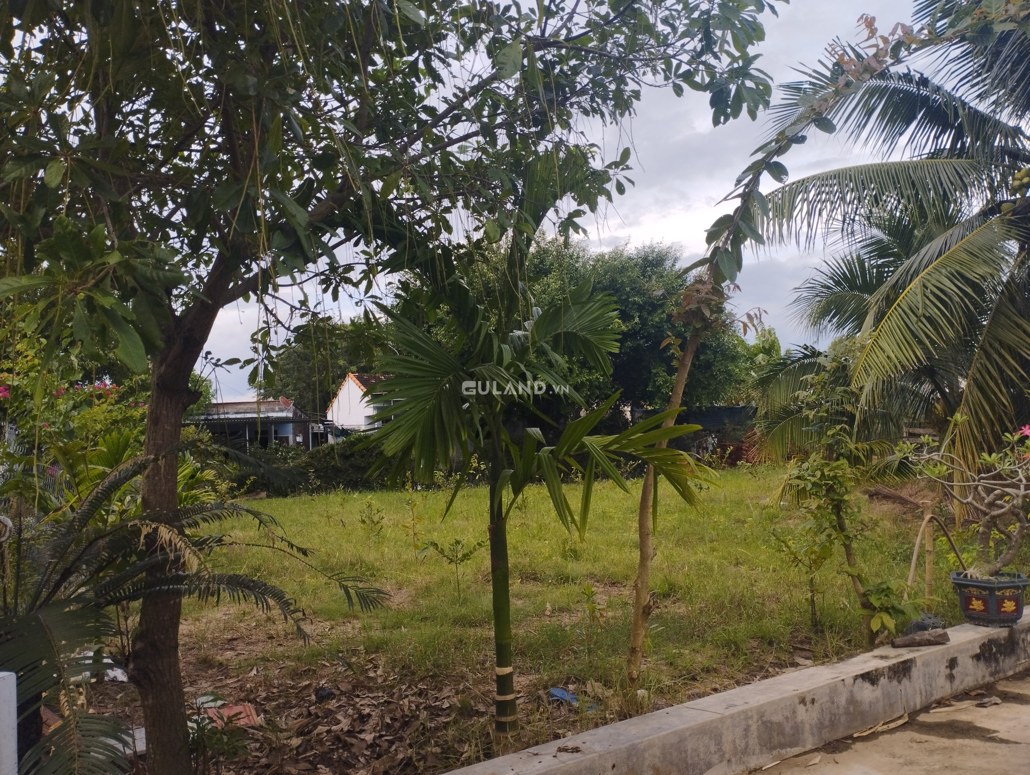 Đất Ninh Thân Giá rê