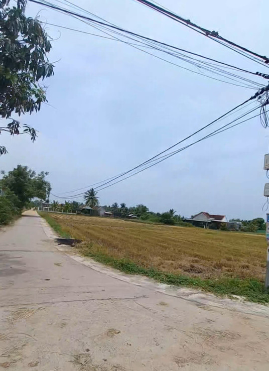 Bán đất thổ cư 2 mặt tiền Lạc An, Ninh Thọ 8x40, 334m² giá 1.62 tỷ tại Xã Ninh Thọ Thị xã Ninh Hòa