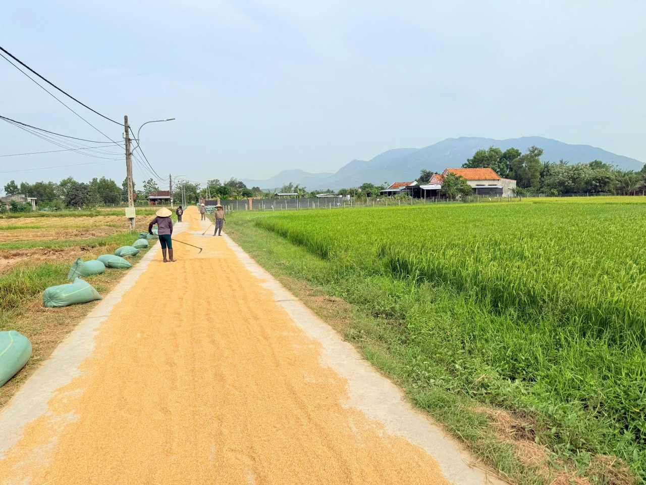 Bán đất 280m² 1.1 tỷ tại Xã Ninh Thọ Thị xã Ninh Hòa 0755615365