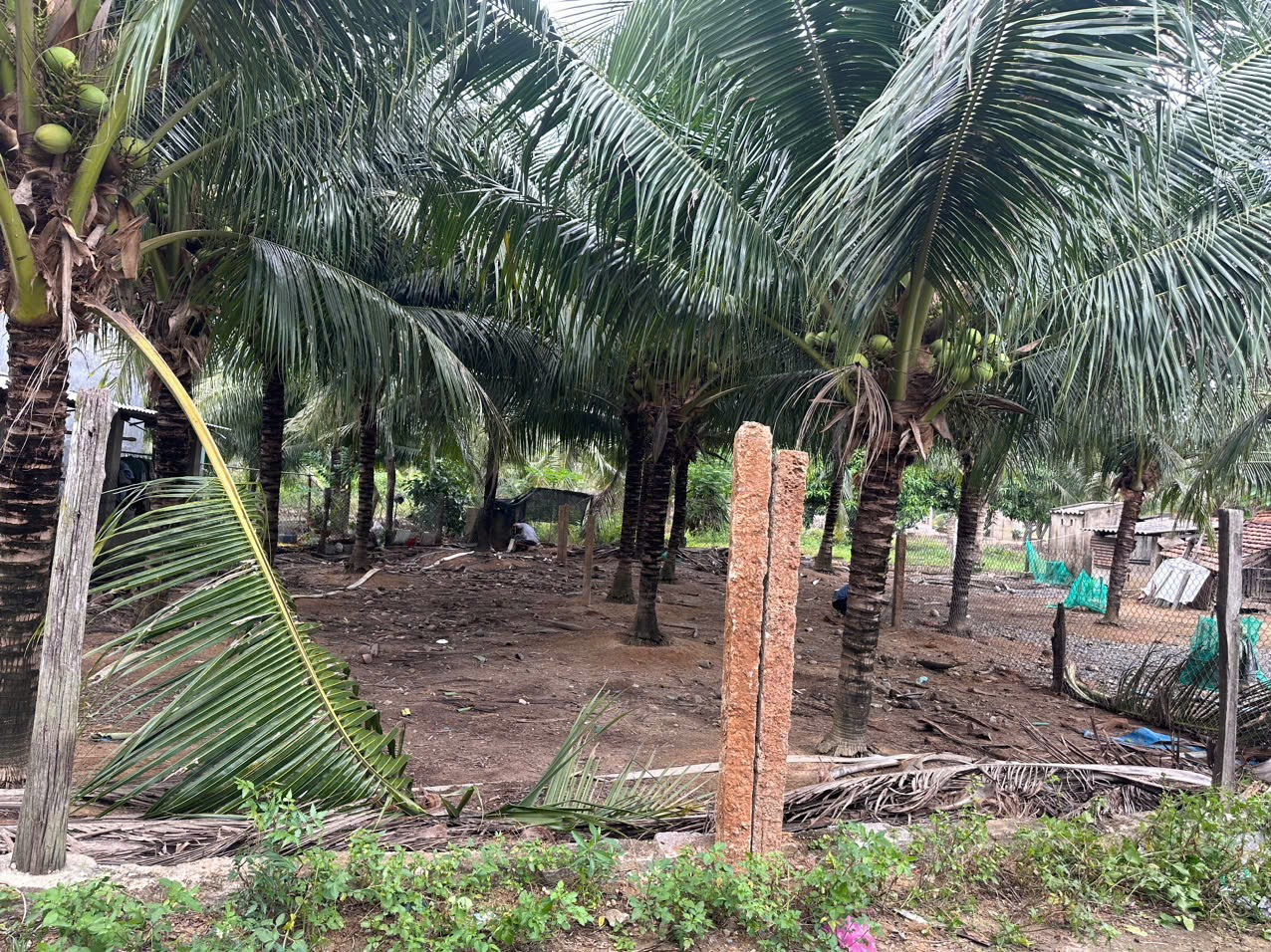 0763615365 Bán đất 90m² 480 triệu tại Xã Ninh Thọ Thị xã Ninh Hòa