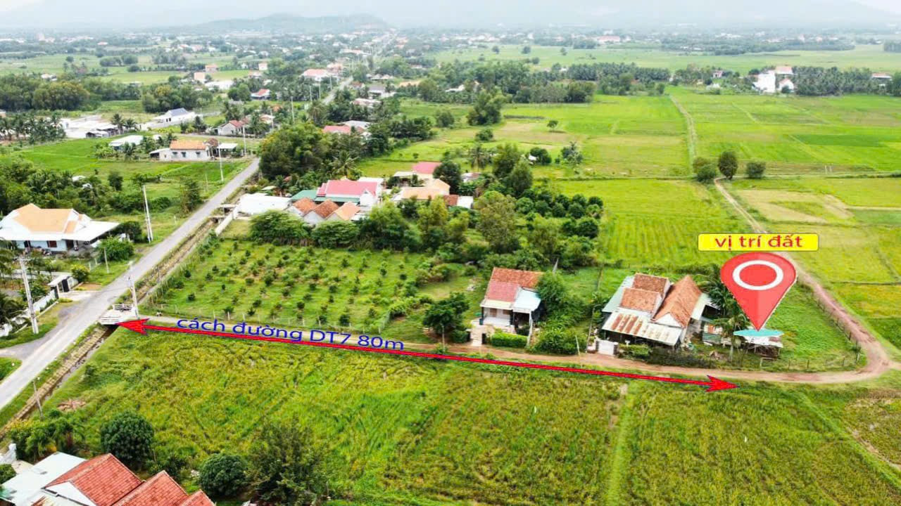 T Bán đất 232m² ngang 6,5m giá 750 triệu tại Xã Ninh Thọ Thị xã Ninh Hòa
