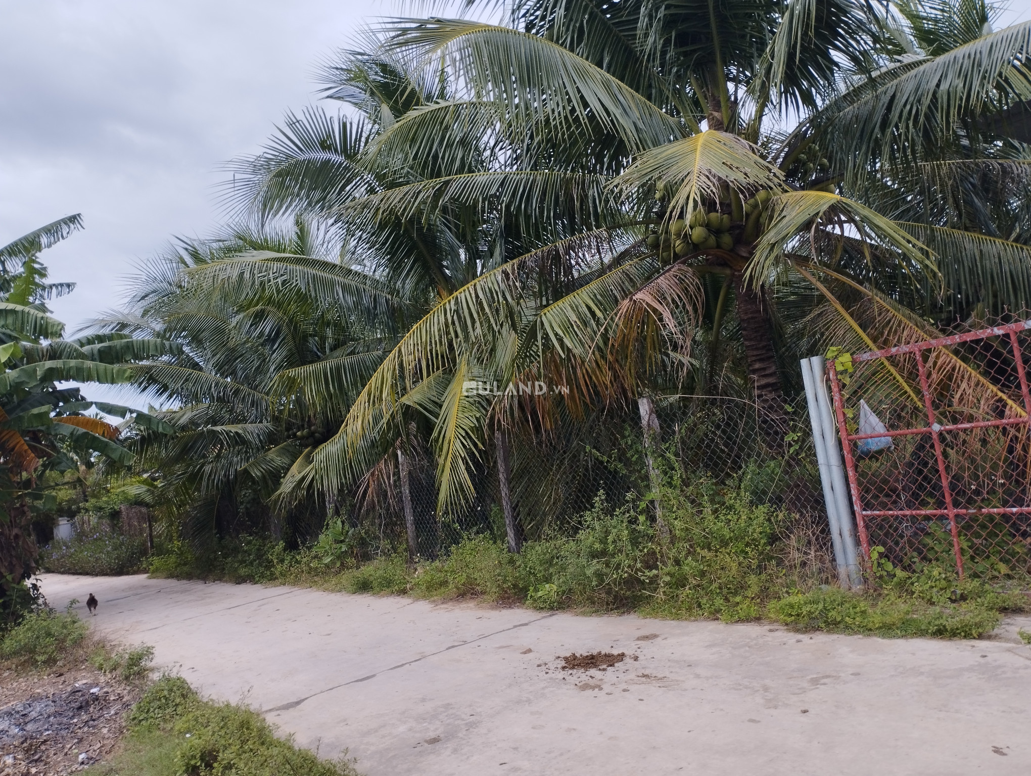 Lô đất tương lai 3 mặt tiền, cách DT1A Ninh Thọ 50m, tiềm năng đầu tư sinh lời cao