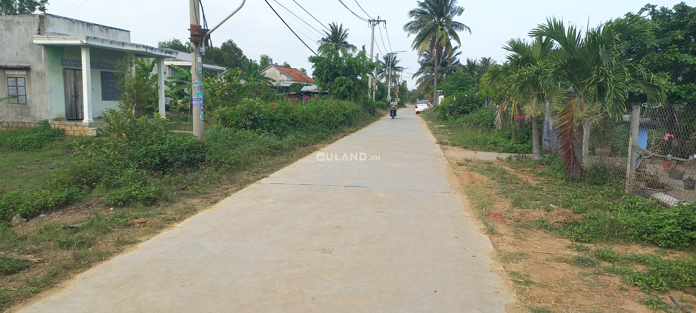 11x25 full thổ 2.3