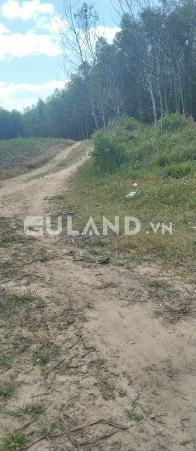 Hơn 2000m2 đất Ninh Thượng, bám đường gần 100m