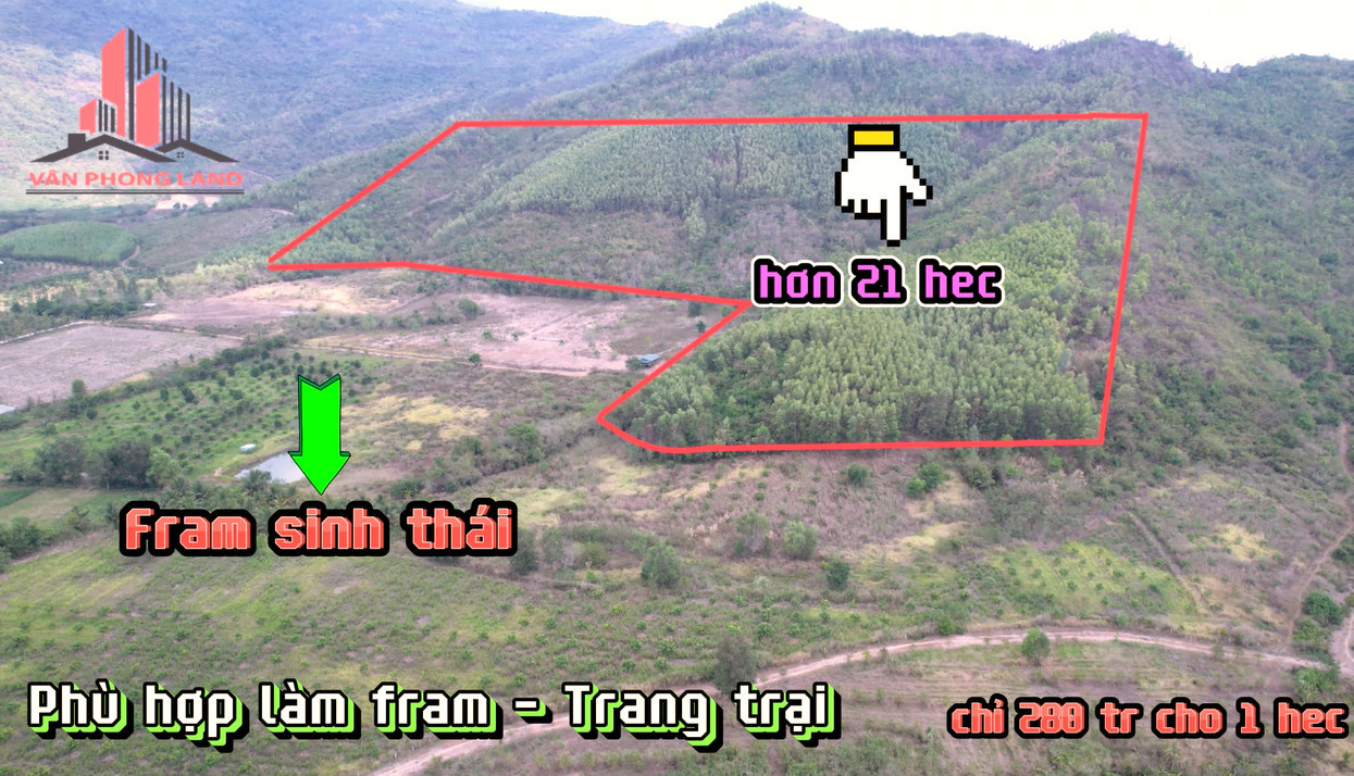 21 hecta giá 5.9 tỷ triền nhẹ Ninh Thượng