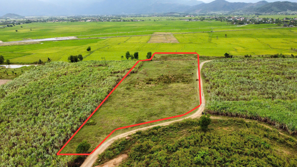 7500 m2 đất siêu phẳng đẹp bám đường miên man 140m thích hợp phân lô