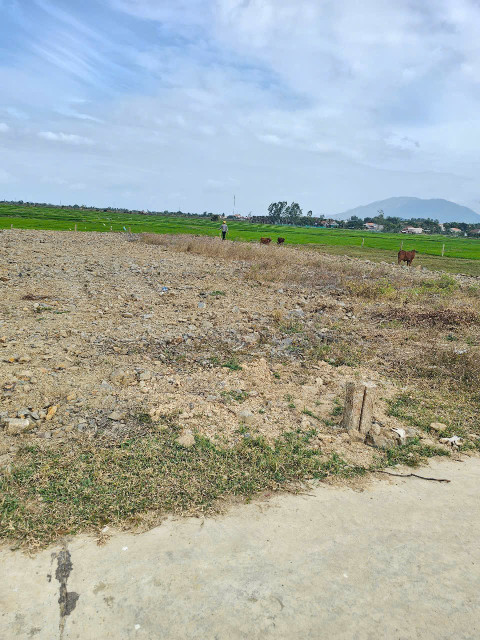 LH 0938156791
Bán đất 204m² 290 triệu tại Xã Ninh Trung Thị xã Ninh Hòa