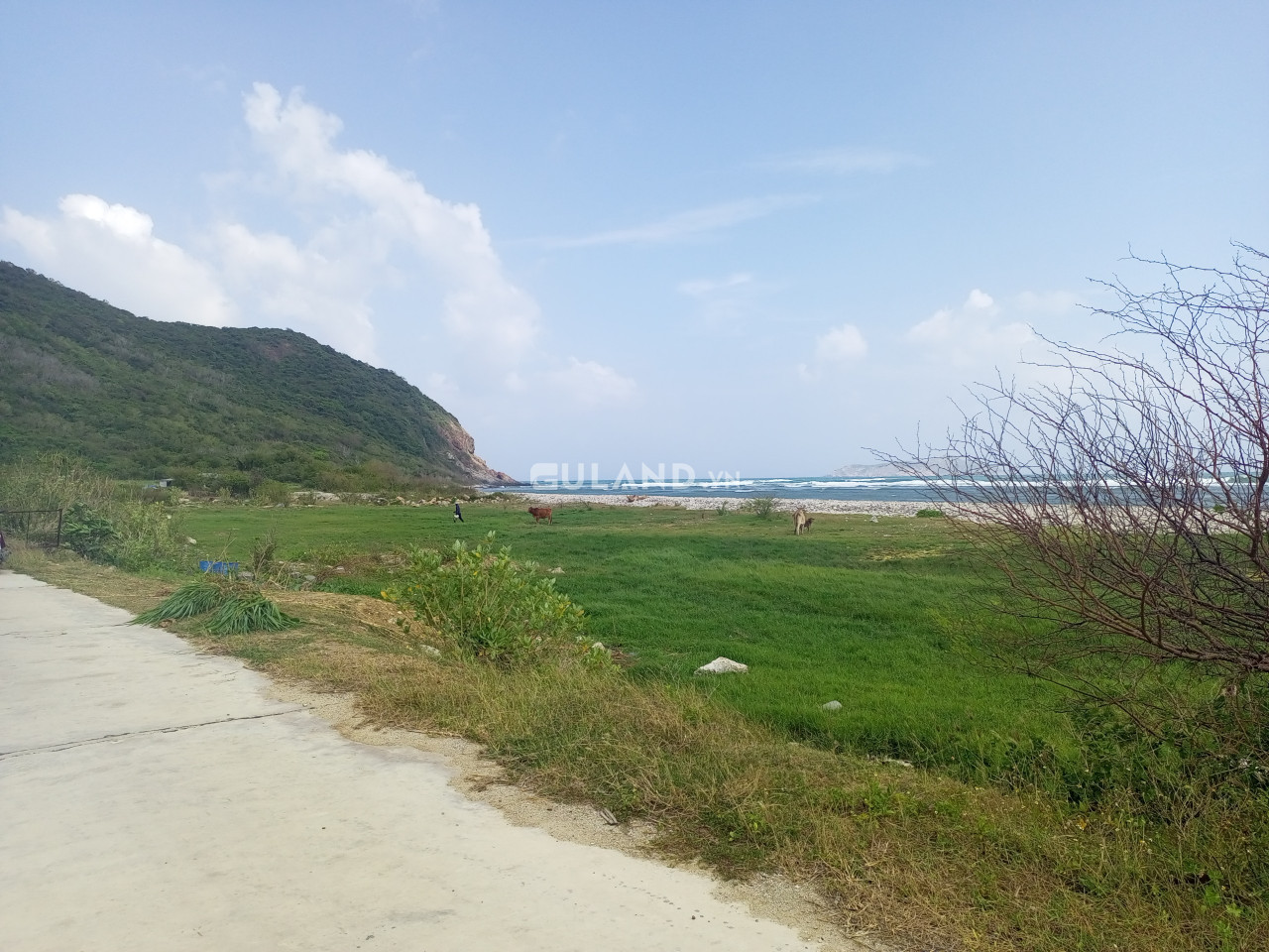 Đất mặt tiền biển Ninh Vân