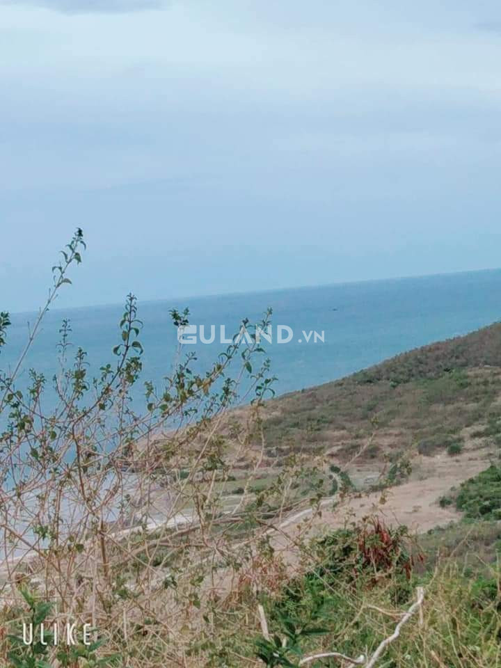 1 ha  mặt tiền nhựa Ninh Vân, gần khu du lịch Ghềnh Nhảy, mặt tiền 78m