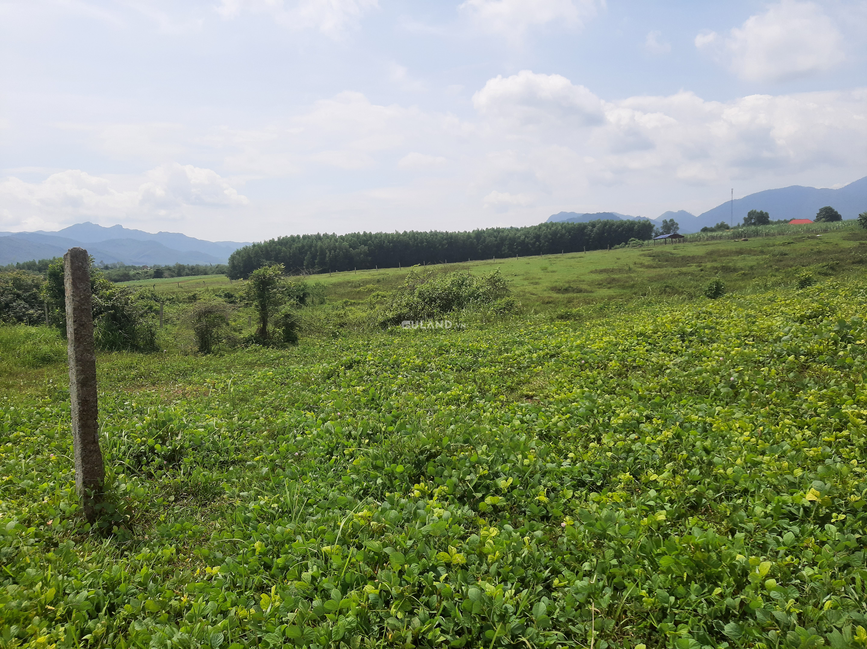 Bán  đất thổ cư 10000m² , giá 5 tỷ tại, Xã Ninh Xuân, Thị xã Ninh Hòa, Khánh Hòa