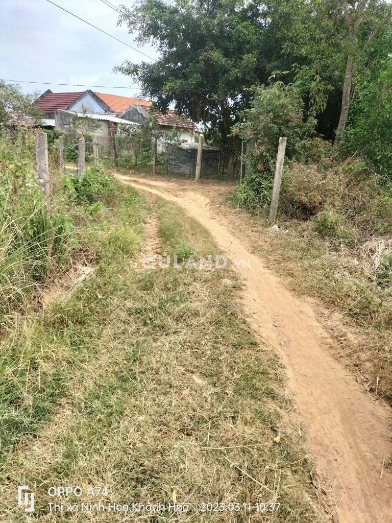 2200m2 đất CLN Ngũ Mỹ, Ninh Xuân chưa sổ, qh ONT, giá rẻ như hạt dẻ 170tr, khu dân cư đông